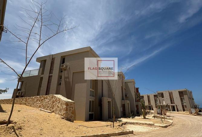 8231172 - صورة العقار 2