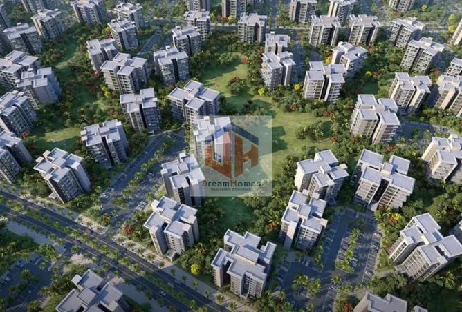 7942276 - Property Image 3