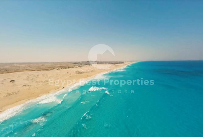 7968571 - صورة العقار 2