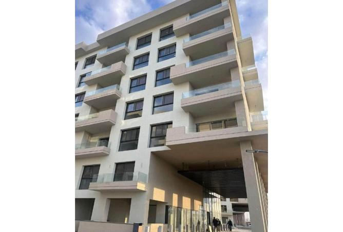 8337207 - Property Image 3