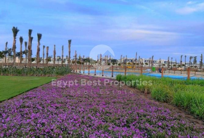 7897862 - صورة العقار 2