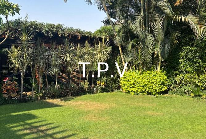 8039950 - Property Image 3