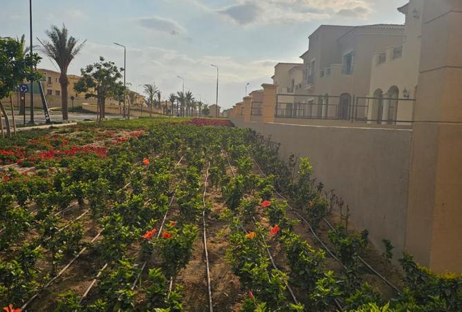 8490532 - صورة العقار 3