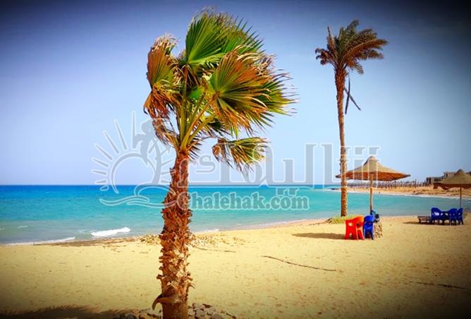 8449708 - صورة العقار 3