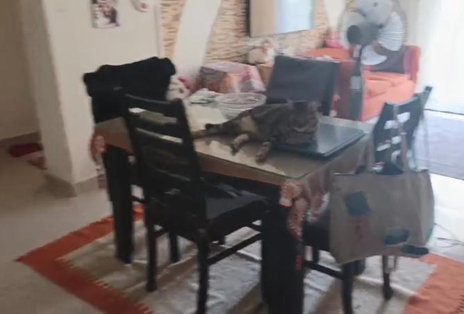 7889186 - صورة العقار 2