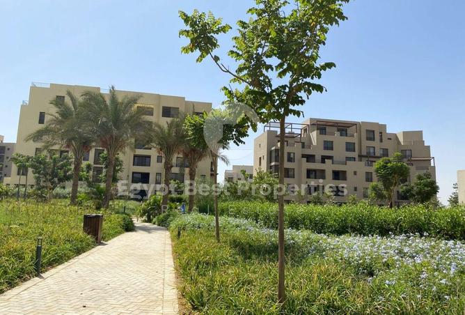 8537177 - صورة العقار 3