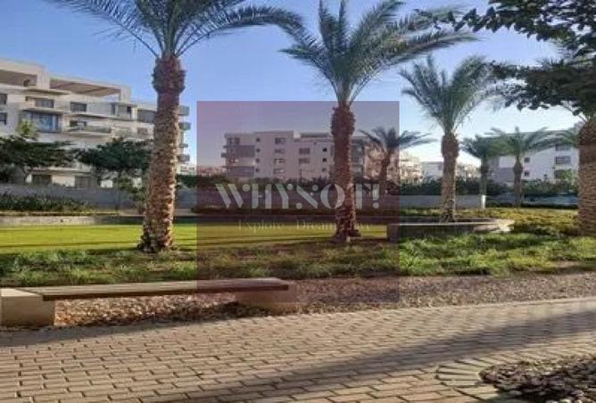 7888519 - صورة العقار 3