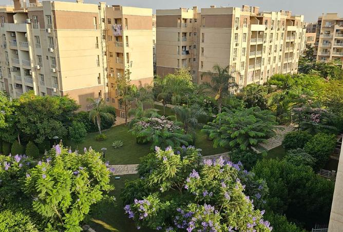 8267762 - Property Image 3