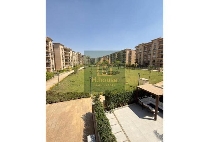 8089952 - Property Image 3