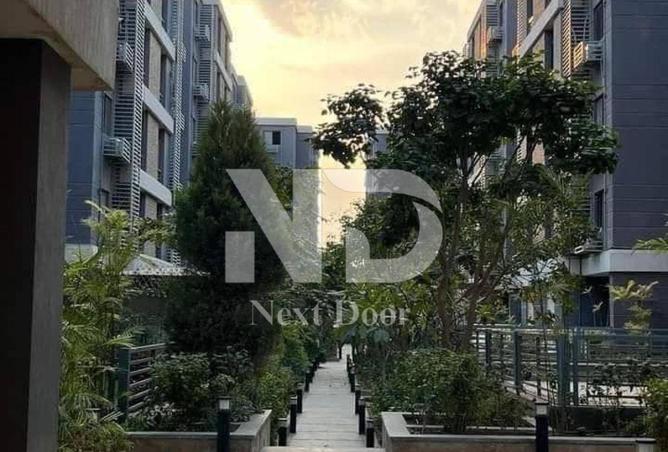 8387333 - صورة العقار 3