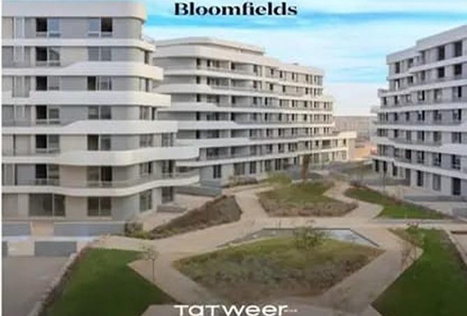 8004634 - Property Image 3