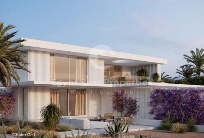 8197526 - Property Image 3