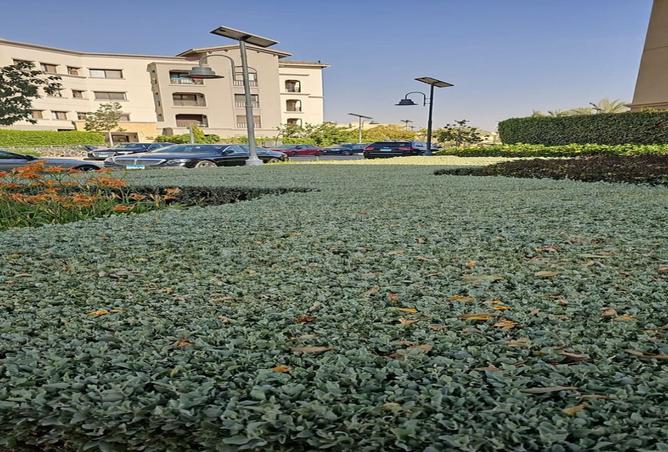 8553313 - الصورة الرئيسية للعقار