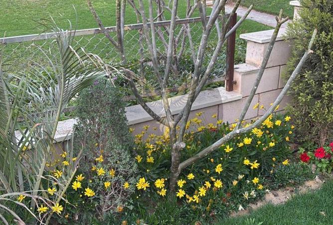 8480723 - صورة العقار 3