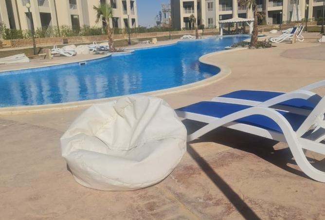 8326128 - Property Image 2