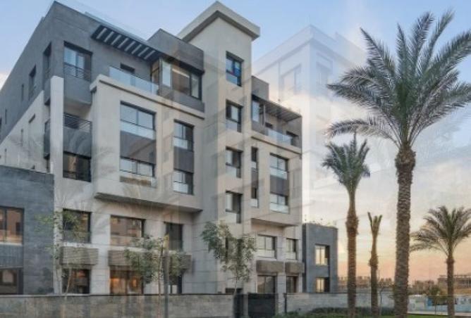 8187875 - صورة العقار 2