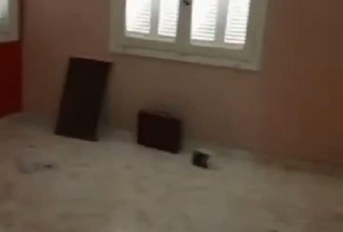 8352326 - Property Image 3