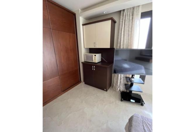 7913411 - Property Image 3