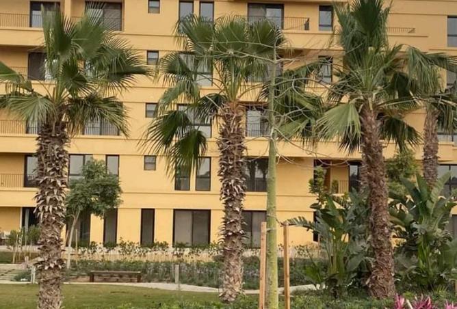 8260918 - Property Image 3