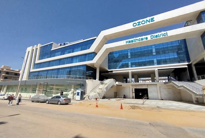 8166855 - Property Image 3