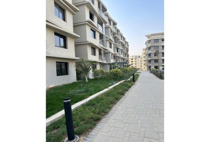 8094903 - Property Image 3