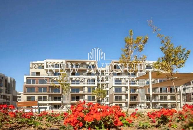 8176650 - Property Image 3