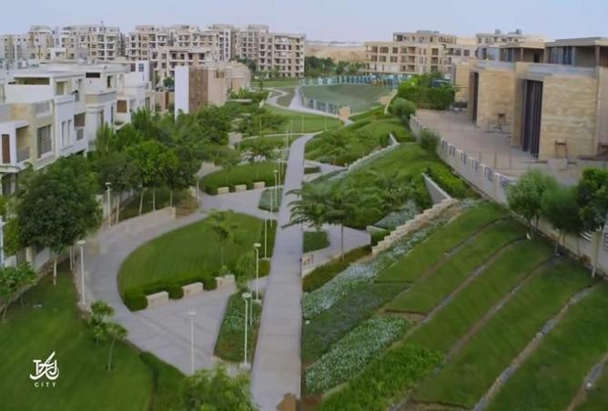 8110615 - صورة العقار 3
