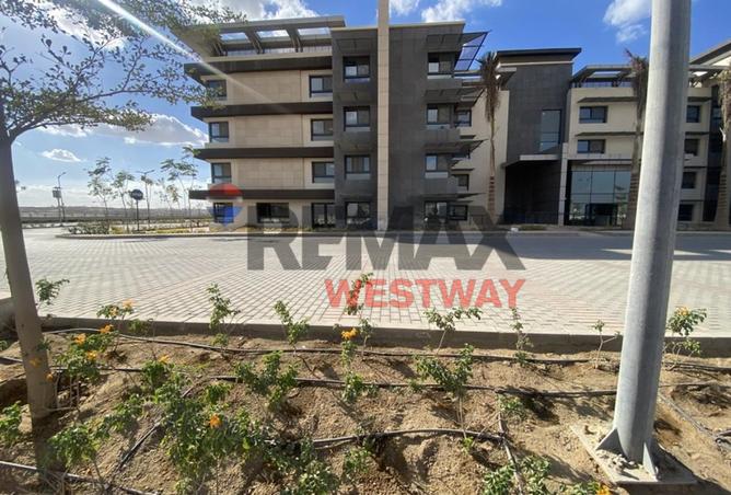 8376978 - Property Image 2