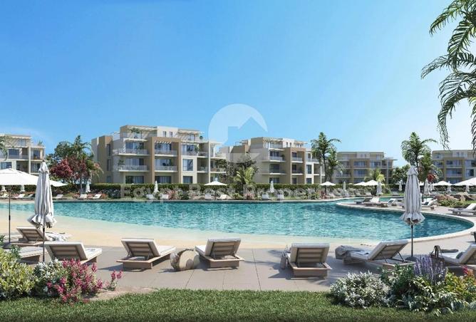 8480365 - Property Image 3