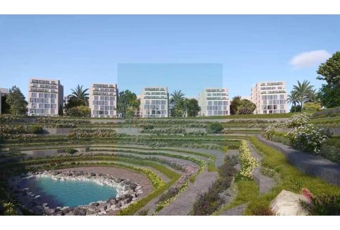 8099089 - Property Image 3