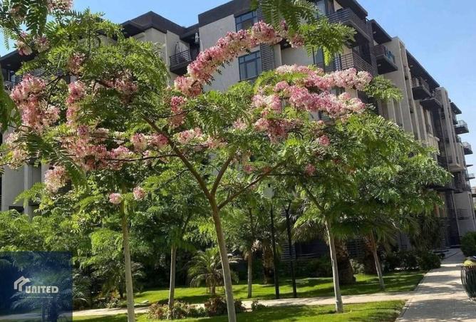 8549836 - الصورة الرئيسية للعقار