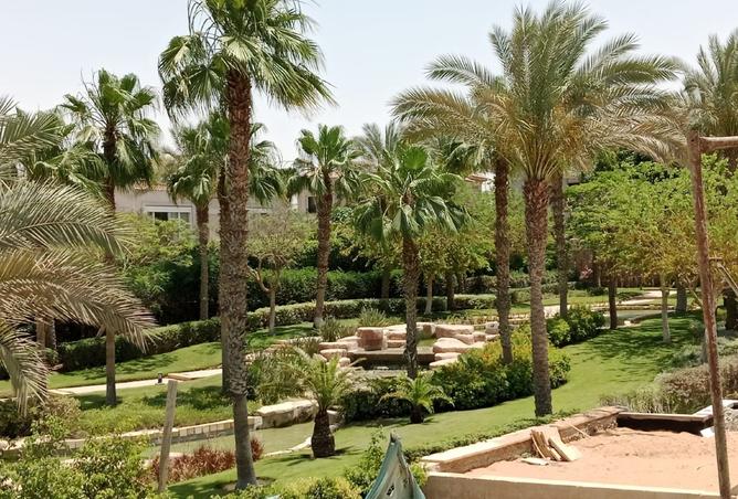 8261242 - Property Image 3