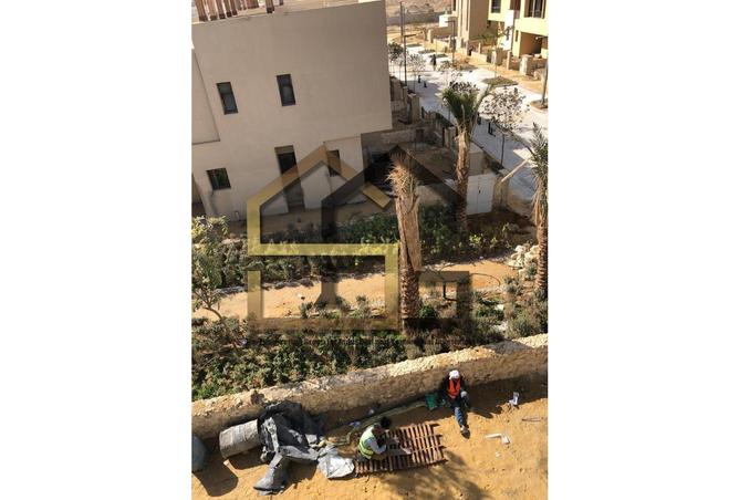 7977414 - صورة العقار 2
