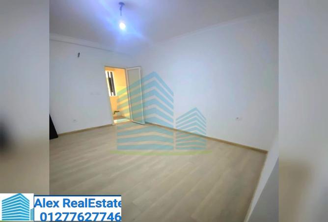 7989419 - Property Image 2