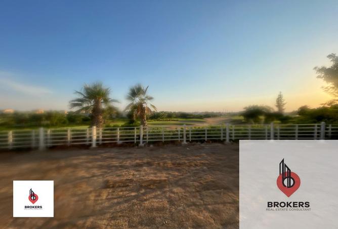 8085465 - Property Image 3