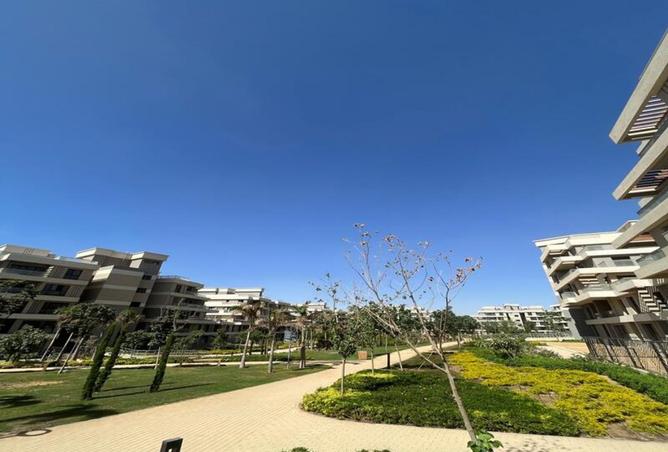 7917726 - Property Image 3