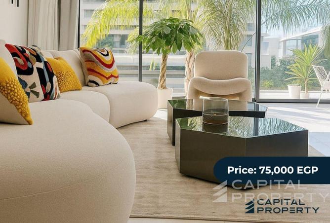 8425430 - Property Image 2