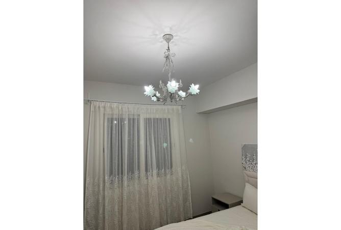 8387790 - Property Image 3