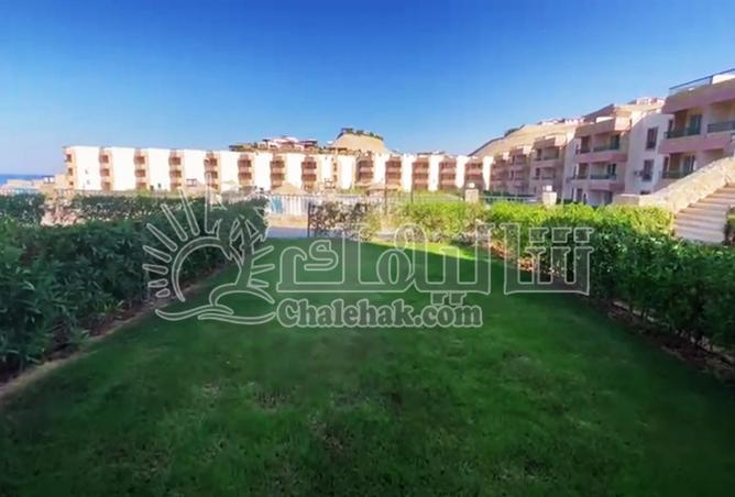 8084379 - Property Image 2