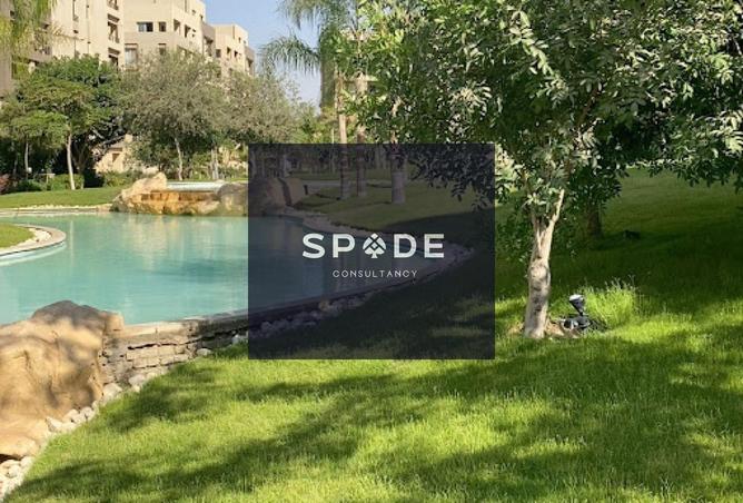 8263518 - Property Image 3