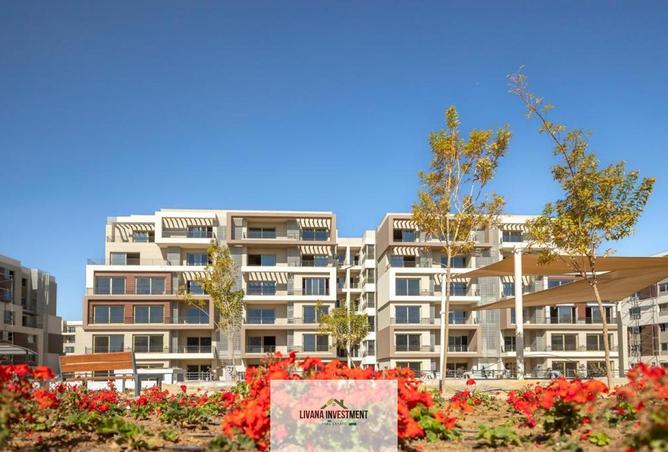 8082454 - Property Image 3
