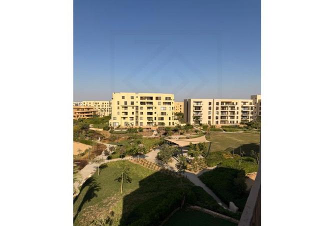 7969399 - صورة العقار 3