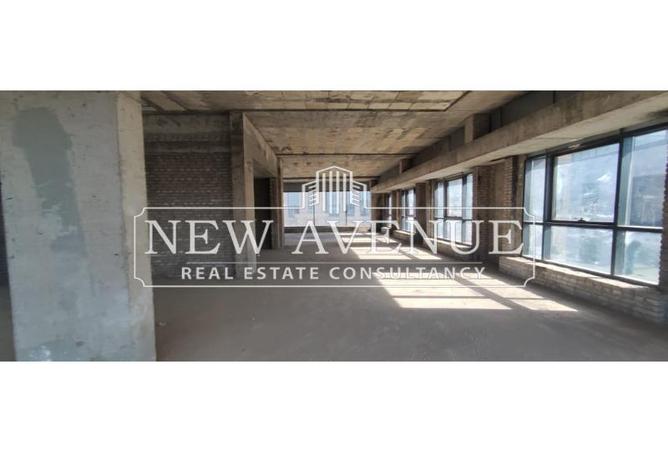 8482988 - Property Image 3