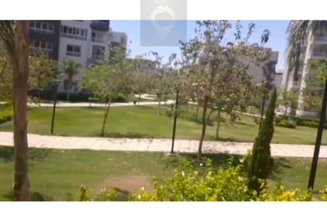 8118471 - Property Image 2