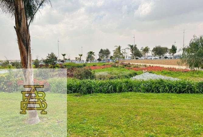 8493133 - Property Image 3