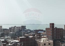 Apartment - 3 bedrooms - 1 bathroom for للايجار in 14th of May Bridge - Smouha - Hay Sharq - Alexandria