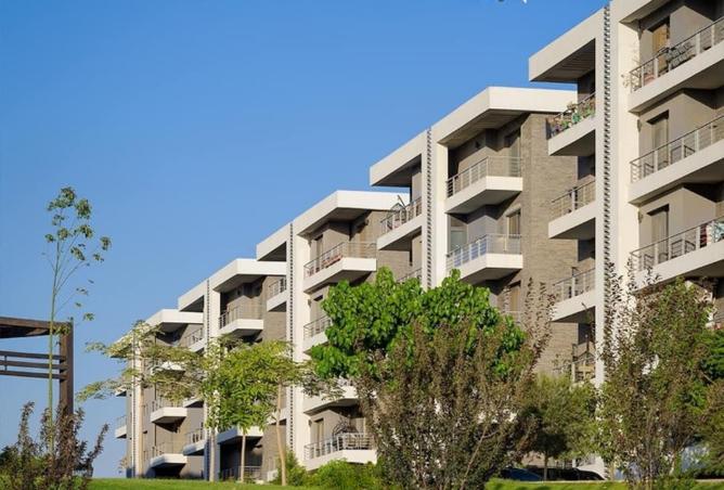 8256136 - صورة العقار 3