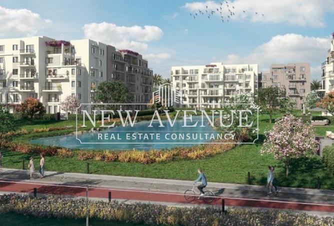 8323407 - Property Image 3