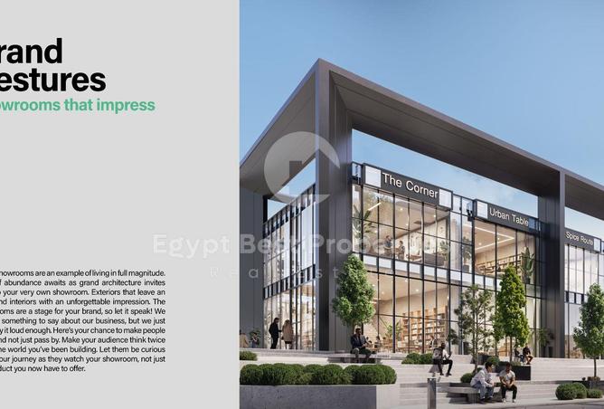 8318153 - Property Image 3