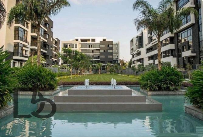 8467287 - Property Image 3